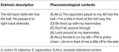 How Do Soccer Players Adjust Their Activity in Team Coordination? An Enactive Phenomenological Analysis